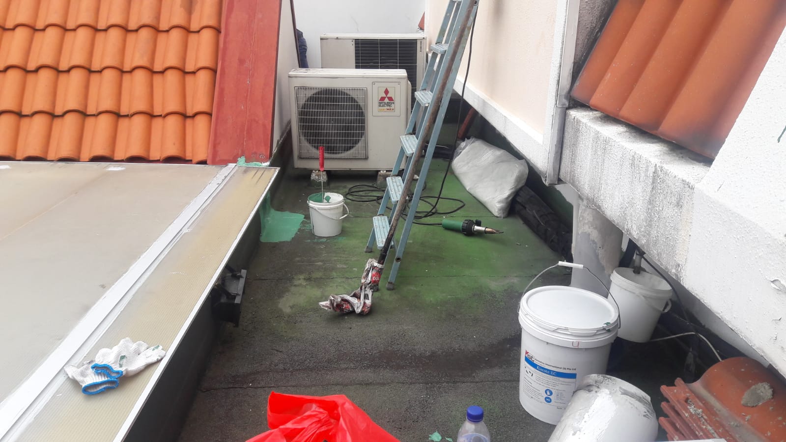 WhatsApp Image 2018-11-15 at 3.14.35 PM (3)